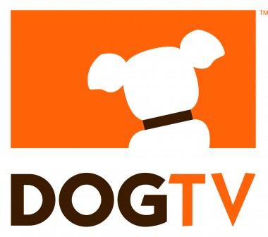 dog-tv