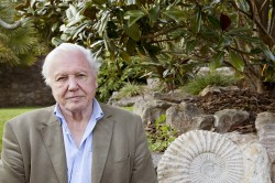 David Attenborough’s Natural Curiosities