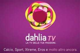 Calcio in Tribunale: si gioca la partita dei diritti ex-Dahlia | Digitale terrestre: Dtti.it