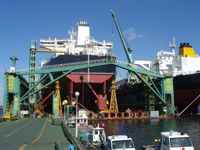 Discovery Science: da domani arriva "Mega World" con Kevin Brauch | Digitale terrestre: Dtti.it