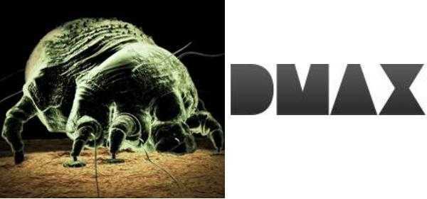 Dmax: dal 14 Febbraio conosciamo microscopici e letali parassiti in "Io e i miei parassiti" | Digitale terrestre: Dtti.it