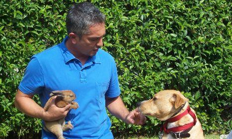 Dog Whisperer, su Cielo i nuovi episodi della 4 stagione | Digitale terrestre: Dtti.it