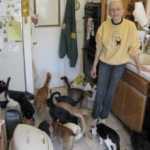 Sepolti in casa: animali, l'Animal Hoarding dal 2 Marzo su Real Time | Digitale terrestre: Dtti.it