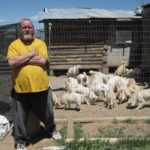 Sepolti in casa: animali, l'Animal Hoarding dal 2 Marzo su Real Time | Digitale terrestre: Dtti.it