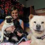 Sepolti in casa: animali, l'Animal Hoarding dal 2 Marzo su Real Time | Digitale terrestre: Dtti.it