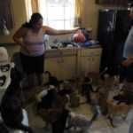 Sepolti in casa: animali, l'Animal Hoarding dal 2 Marzo su Real Time | Digitale terrestre: Dtti.it