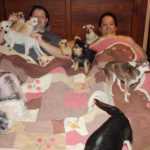 Sepolti in casa: animali, l'Animal Hoarding dal 2 Marzo su Real Time | Digitale terrestre: Dtti.it