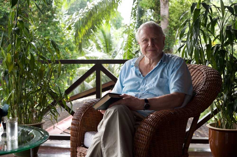 David Attenborough: la Natura in TV, da stasera su BBC Knowledge | Digitale terrestre: Dtti.it