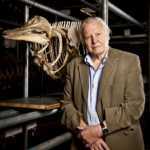 David Attenborough: la Natura in TV, da stasera su BBC Knowledge | Digitale terrestre: Dtti.it