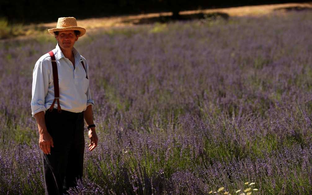 Su DoveTv arriva "Grandi giardini di Francia" con Monty Don | Digitale terrestre: Dtti.it