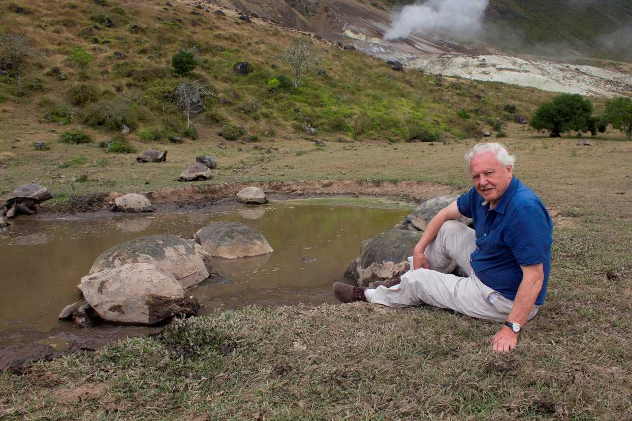 Galapagos 3D: un viaggio attraverso le meraviglie delle Galapagos su Sky3D e Nat Geo Wild HD | Digitale terrestre: Dtti.it