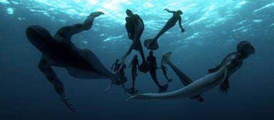Su Discovery Channel domani "Sirene: il mistero svelato" | Digitale terrestre: Dtti.it