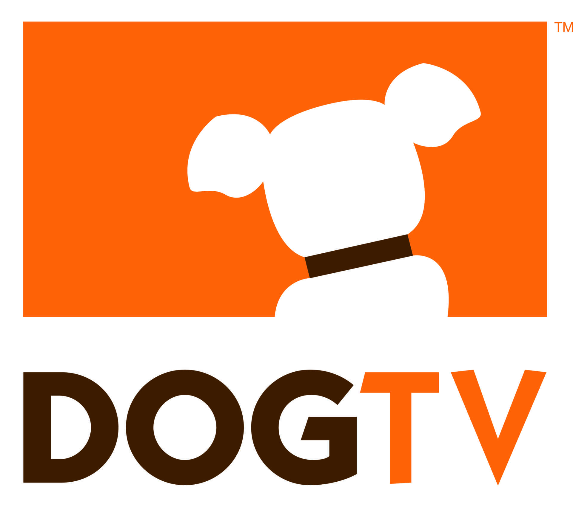 Arriva DogTv, il canale per cani | Digitale terrestre: Dtti.it