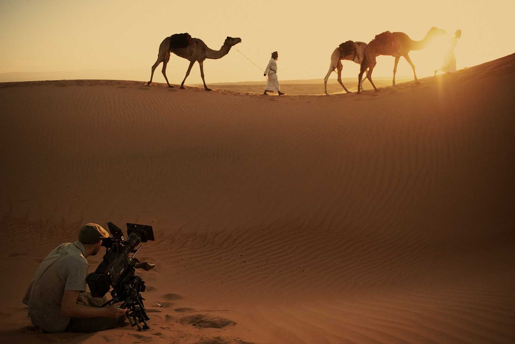 "Il Cuore selvaggio dell'Arabia" su BBC Knowledge, da giovedì 22 agosto | Digitale terrestre: Dtti.it