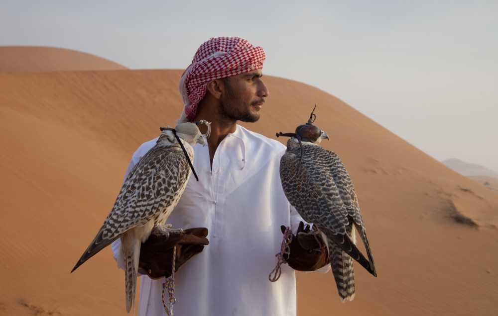 "Il Cuore selvaggio dell'Arabia" su BBC Knowledge, da giovedì 22 agosto | Digitale terrestre: Dtti.it