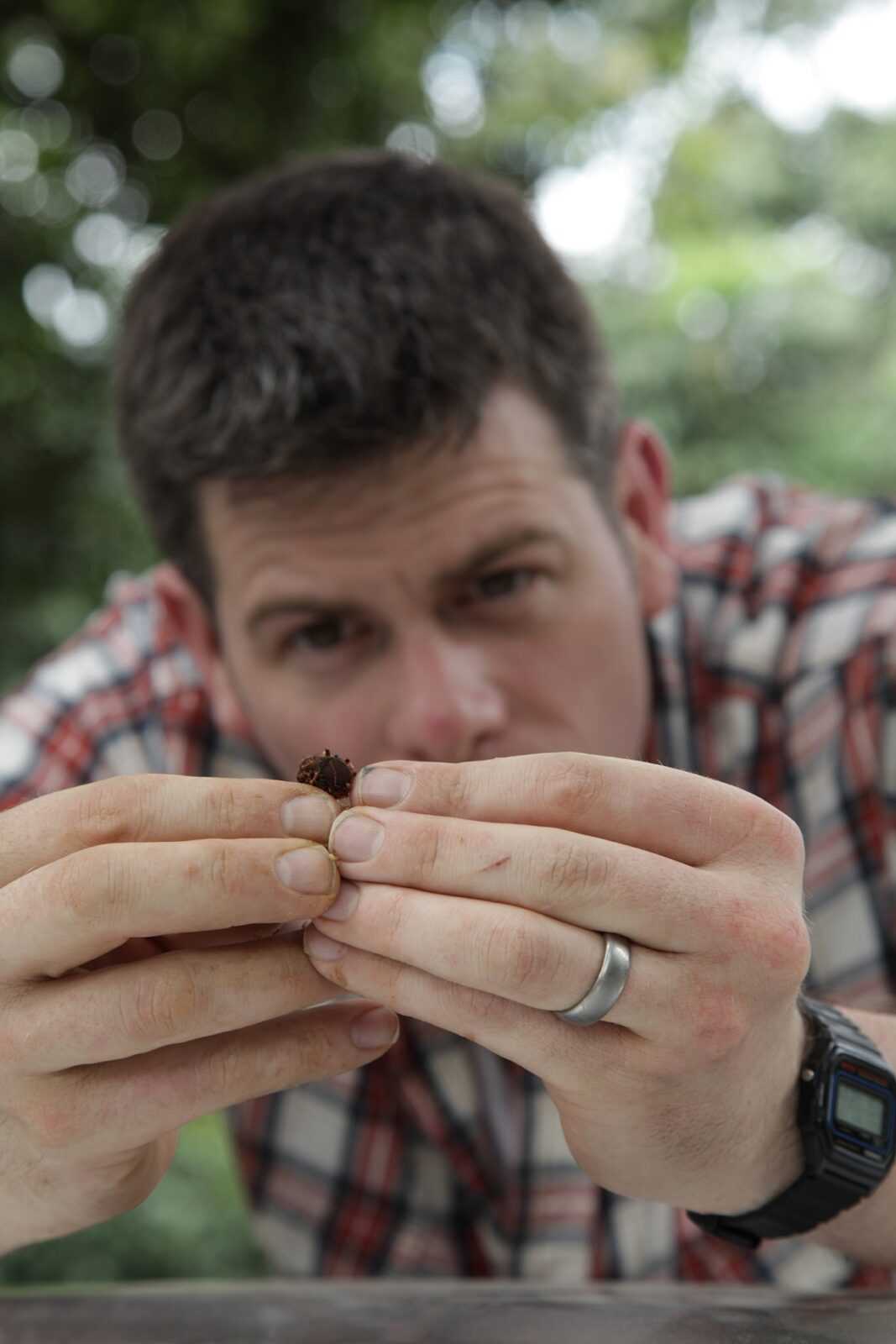 Dentro il formicaio, dal 2 Ottobre su BBC Knowledge | Digitale terrestre: Dtti.it