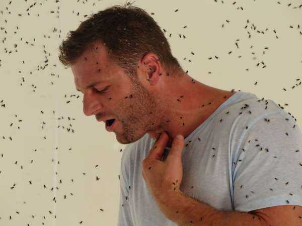 Su Focus questa sera anteprima dei primi minuti del film di Ridley Scott "Exodus Dei e Re" e lo Speciale "Exodus: la vera storia" | Digitale terrestre: Dtti.it