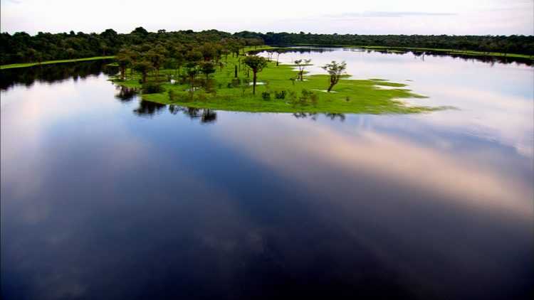 The Amazon rainforest is the largest of the world. It extends over more than five million square kilometers and nine countries. The Amazon River accounts for approximately one-fifth of the world's total river flow.
(Photo Credit: © Christian Baumeister)