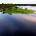 The Amazon rainforest is the largest of the world. It extends over more than five million square kilometers and nine countries.  The Amazon River accounts for approximately one-fifth of the world's total river flow.
(Photo Credit: © Christian Baumeister)