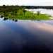 The Amazon rainforest is the largest of the world. It extends over more than five million square kilometers and nine countries.  The Amazon River accounts for approximately one-fifth of the world's total river flow.
(Photo Credit: © Christian Baumeister)